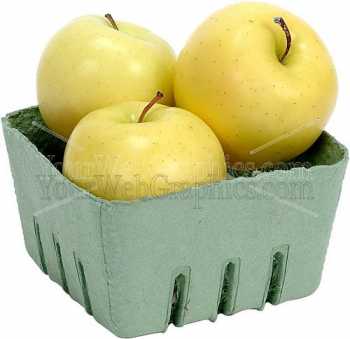 photo - apples-_yellow-2-jpg